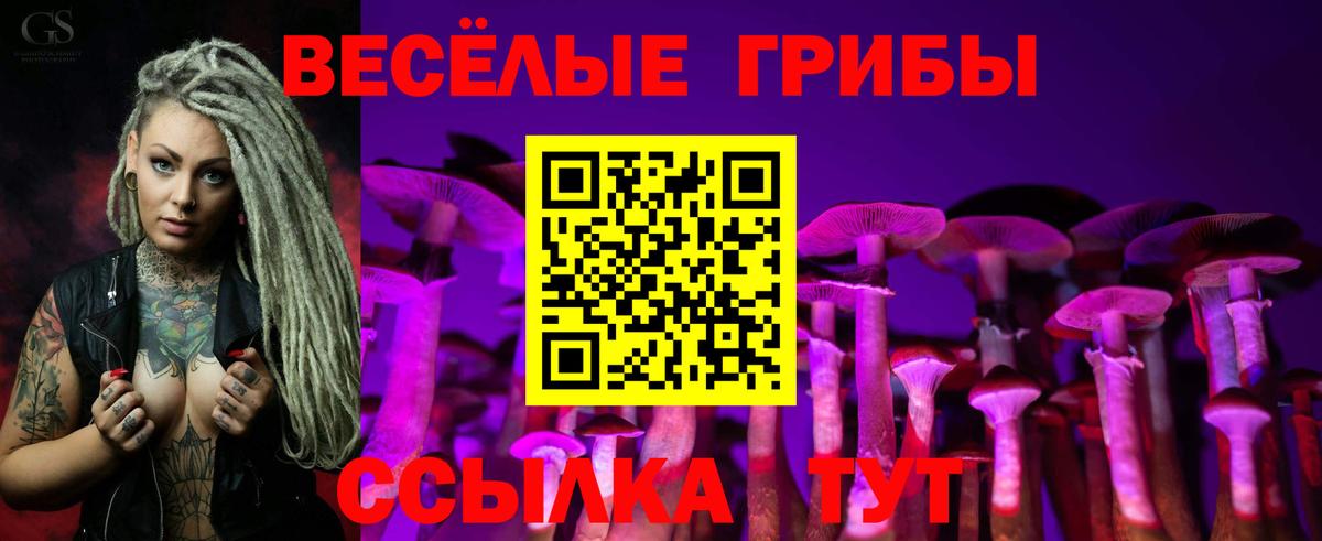Псилоцибиновые грибы Psilocybine cubensis  Галлюциногенные грибы мухоморы  Вход с VPN  Майский 